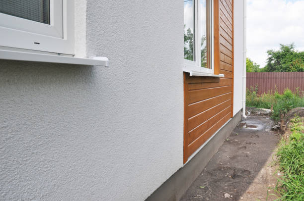 Best Siding Painting and Refinishing  in Moore Haven, FL