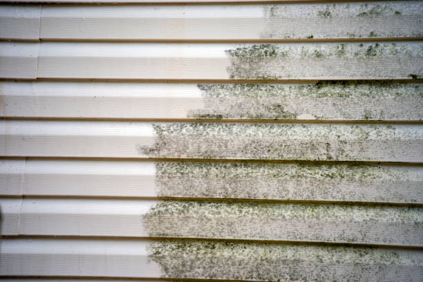 Affordable Siding Repair and Maintenance Services in Moore Haven, FL