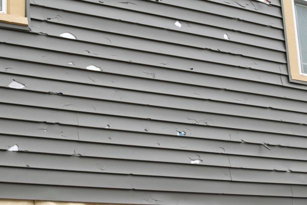 Best Siding Removal and Disposal  in Moore Haven, FL